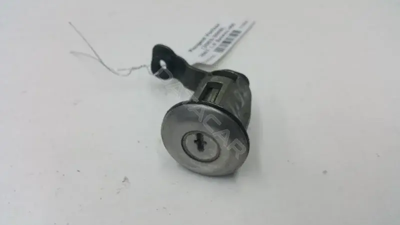 Личинка замка двери 10269869