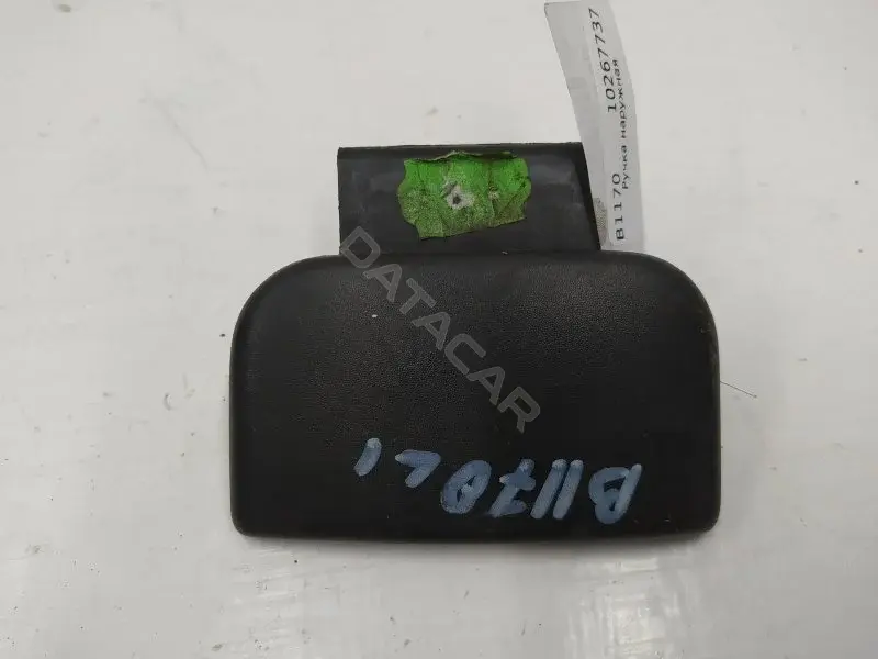 Ручка двери 10267737