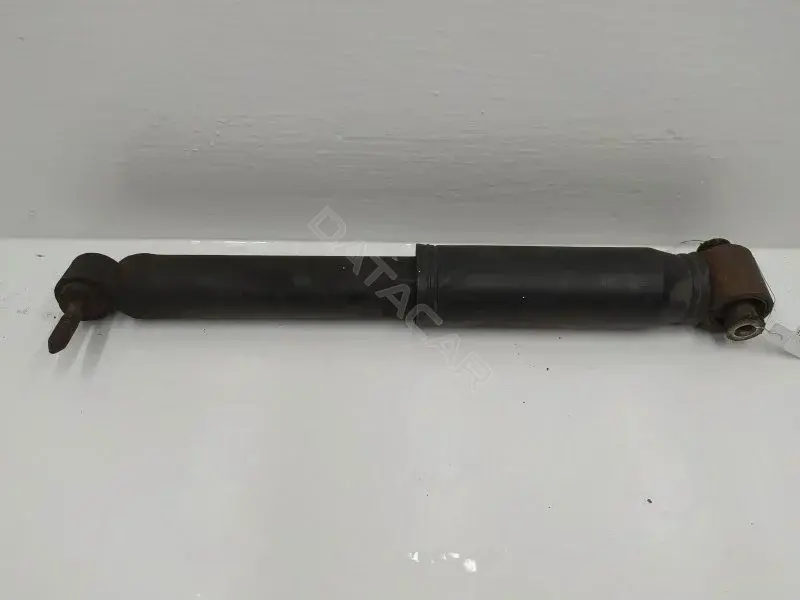 Амортизаторы 10261856
