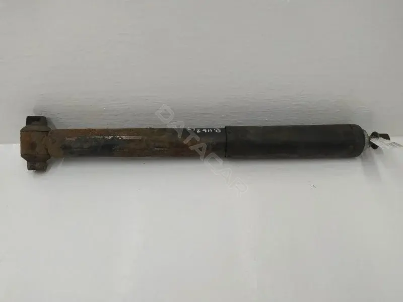 Амортизаторы 10258921
