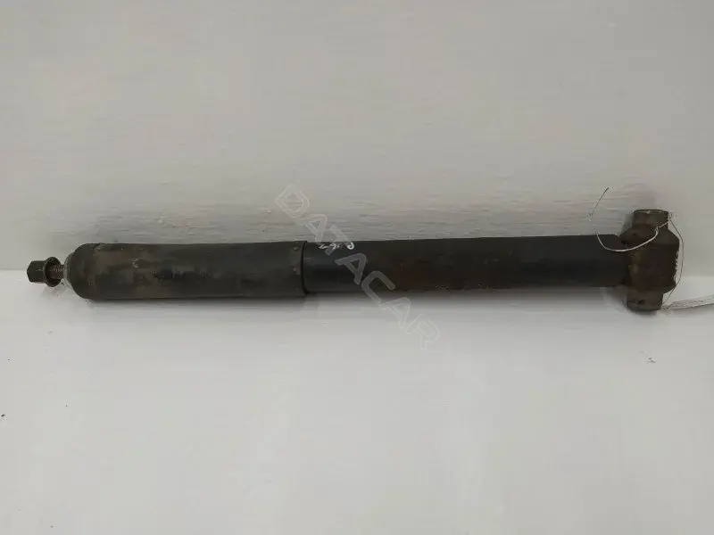 Амортизаторы 10258919