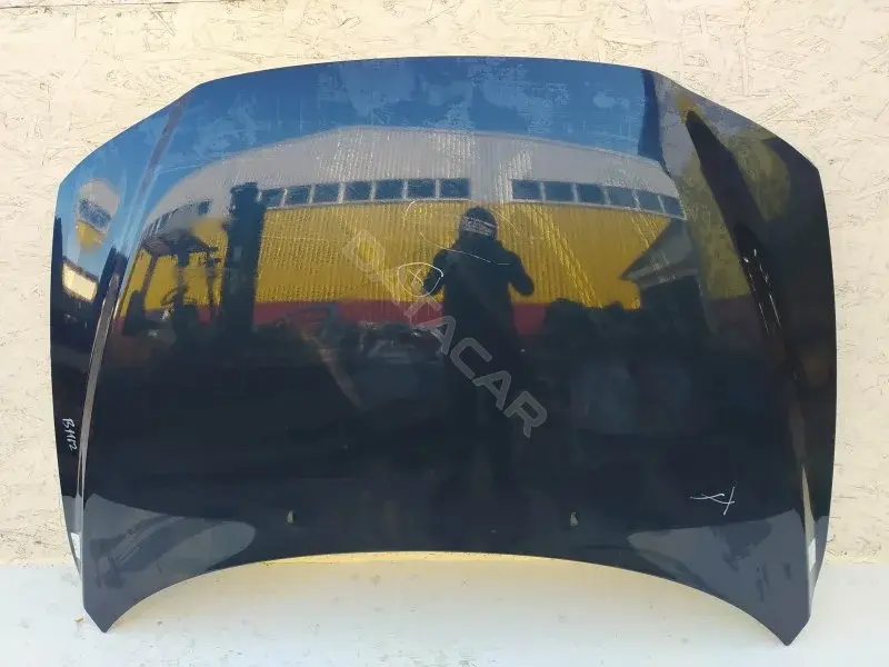 Капот 10258839