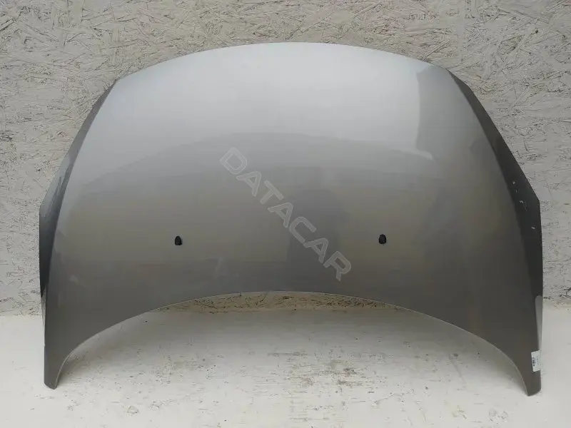 Капот 10257748
