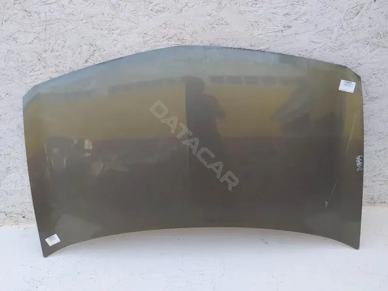 Капот 10255216
