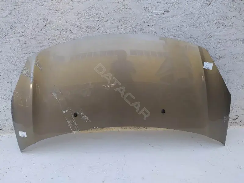 Капот 10255200