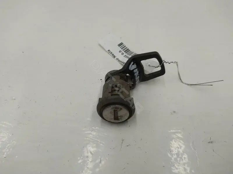 Личинка замка двери 10251931