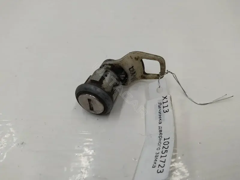 Личинка замка двери 10251723