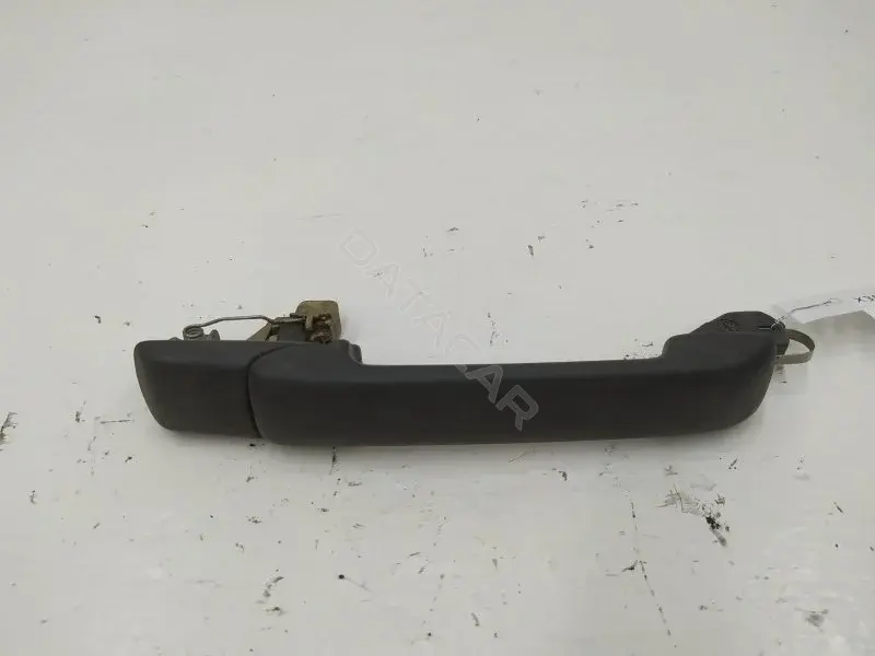 Ручка двери 10242669
