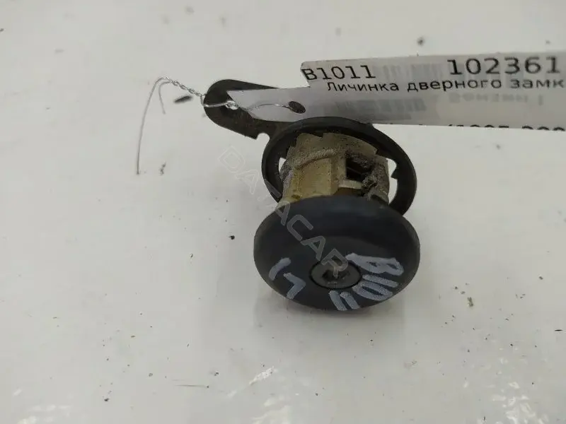 Личинка замка двери 10236183