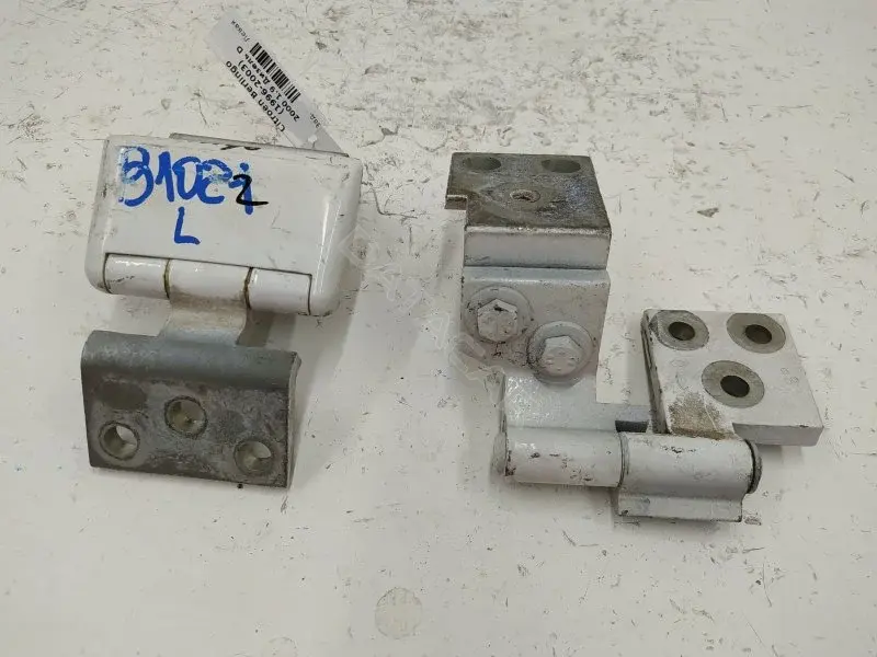 Петля двери 10232146