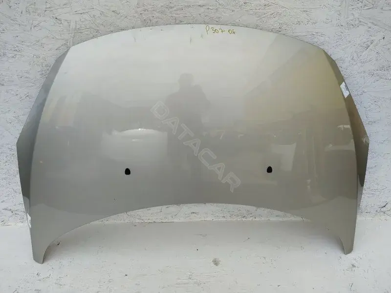 Капот 10230956