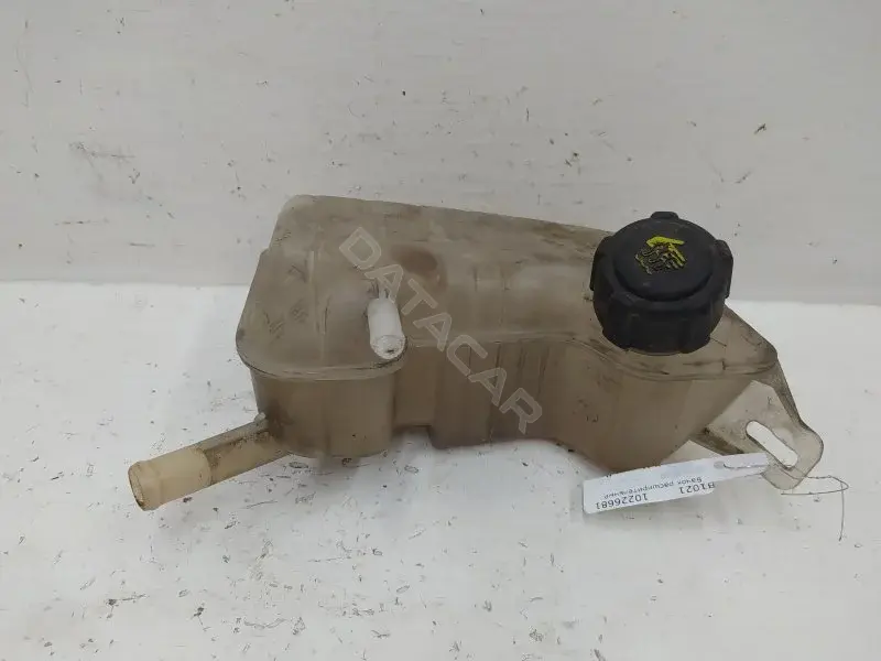 Расширительный бачок 8200262036