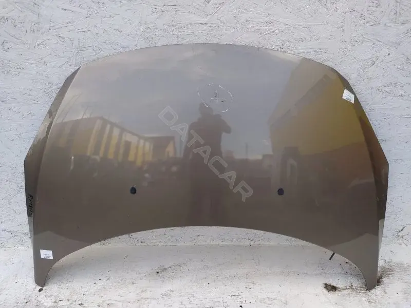 Капот 10225464