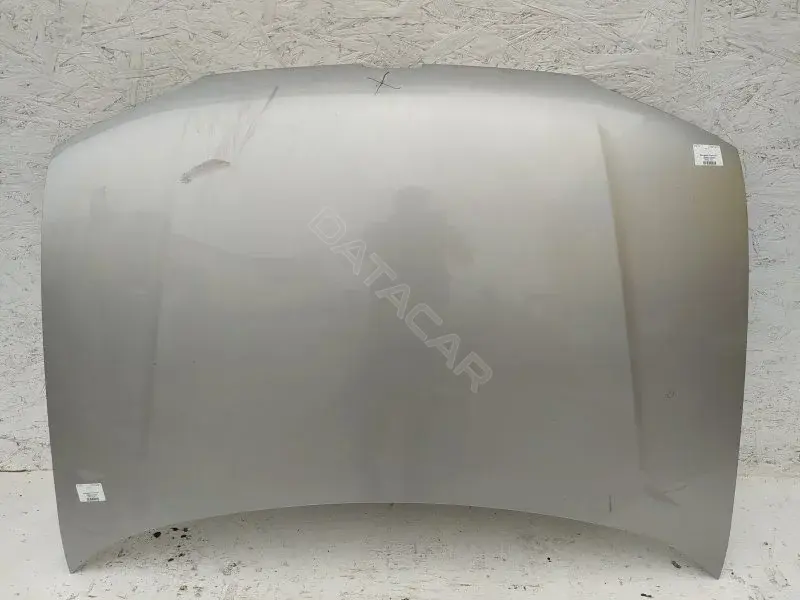Капот 10215221