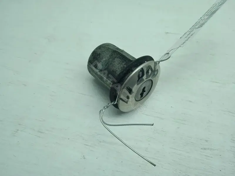 Личинка замка двери 10178939