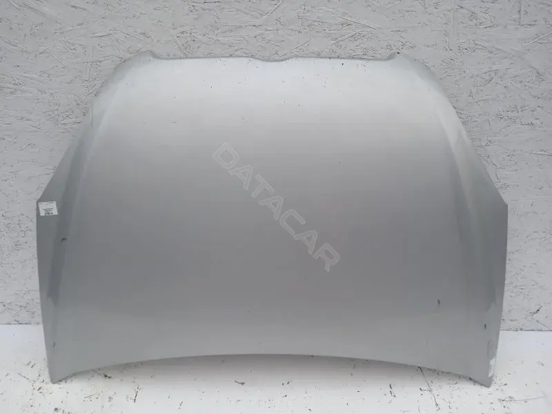 Капот 10173007