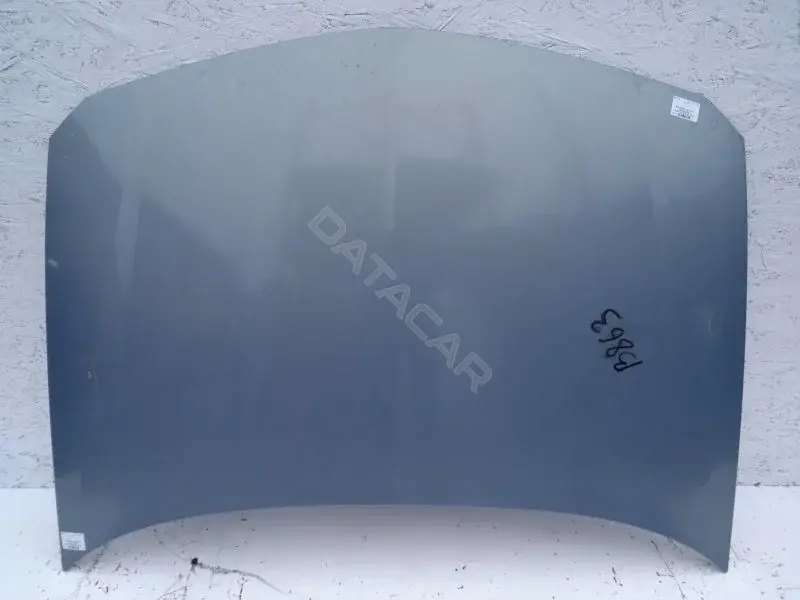 Капот 10172126