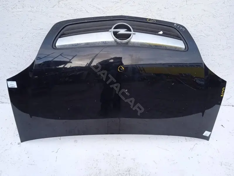 Капот 10168140