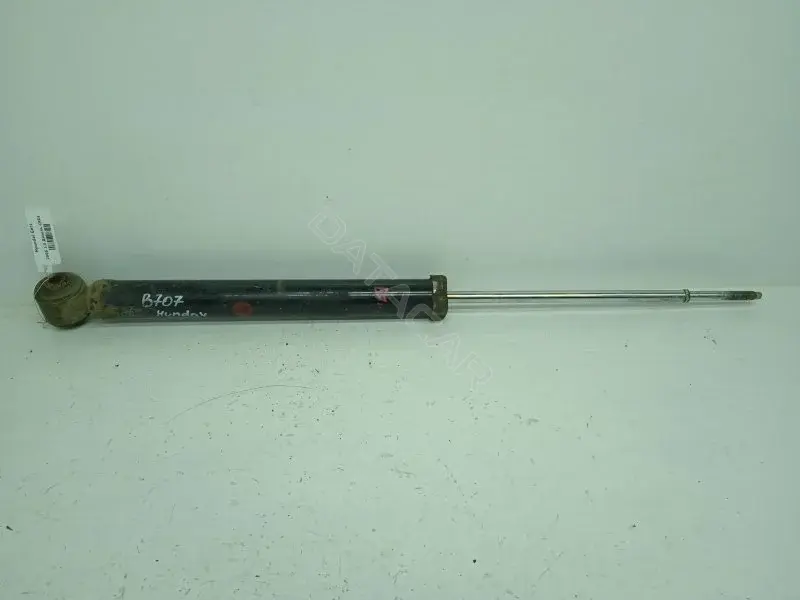 Амортизаторы 10166058