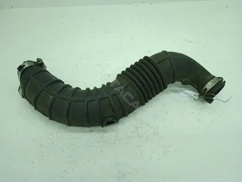 Патрубки системы охлаждения 8200500384