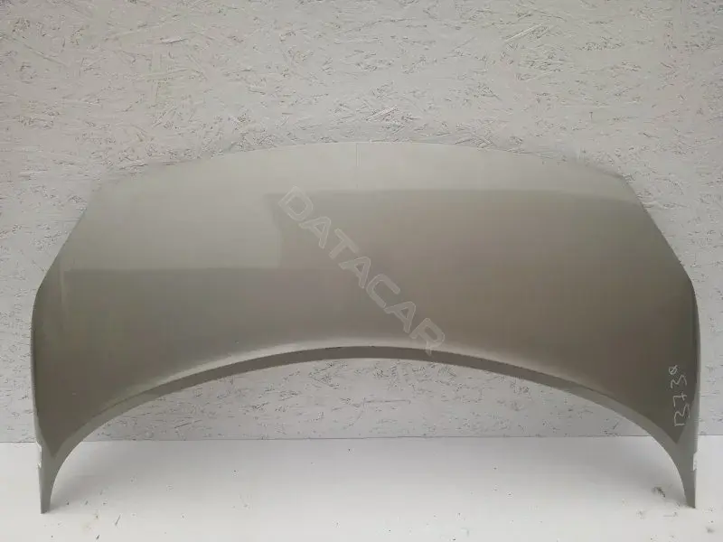 Капот 10164794