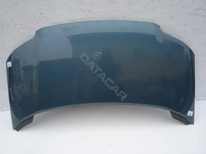 Капот 10164499