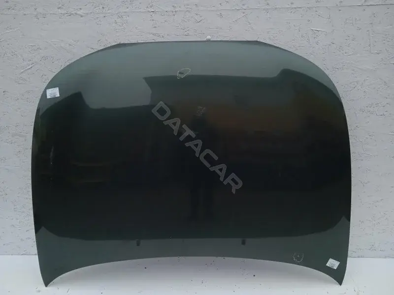 Капот 10164484