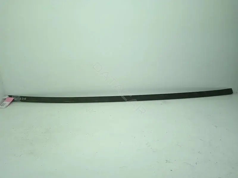 Молдинг крыши 10164114