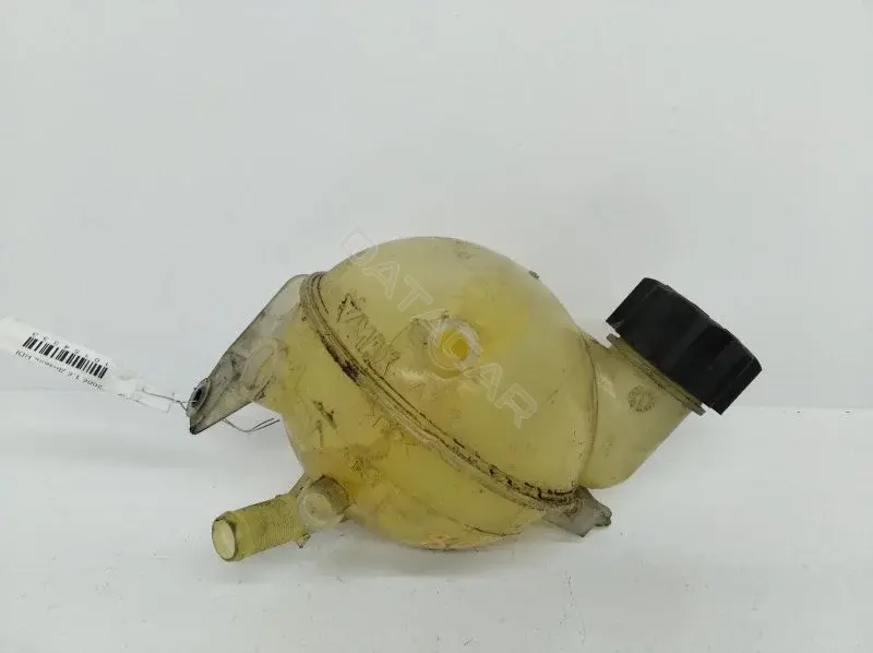 Расширительный бачок 10154333