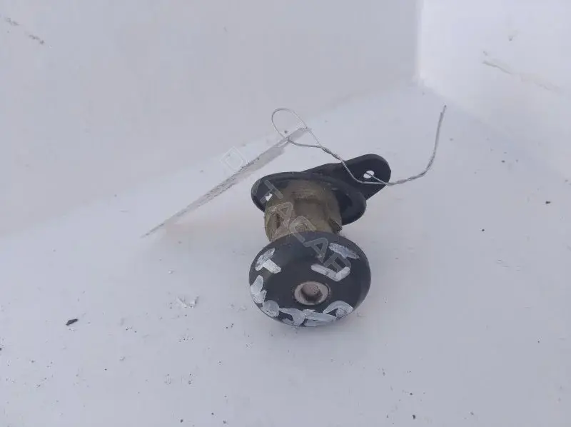 Личинка замка двери 10143097