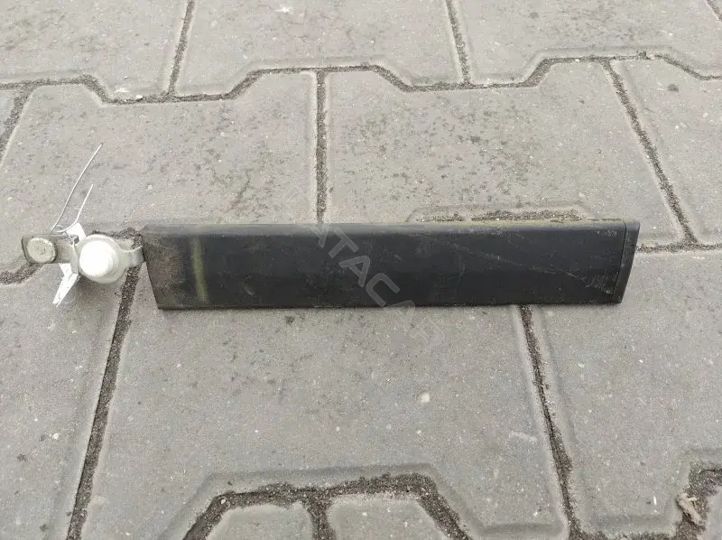Молдинг крыши C235509L2