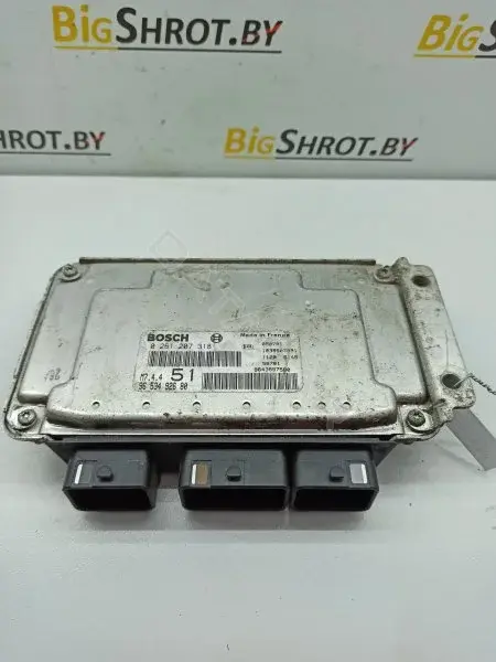 Блок управления двигателем 02612073189653492680