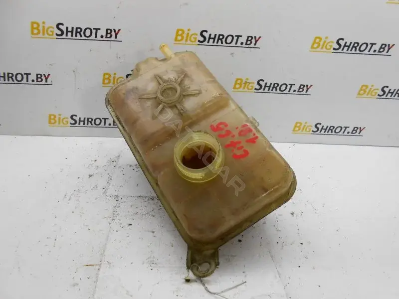 Расширительный бачок 10106956