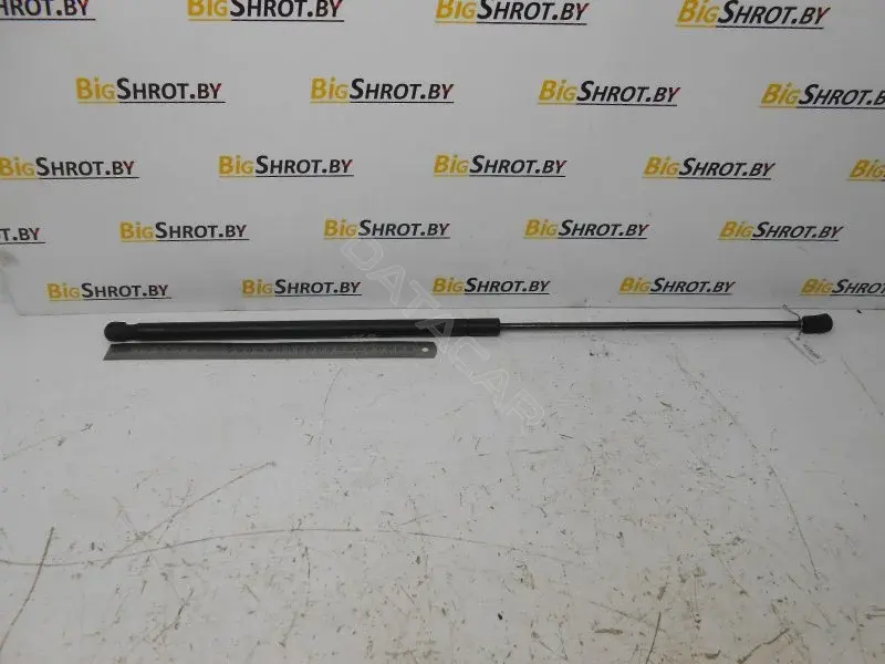Амортизатор крышки багажника, капота, заднего стекла 10102378