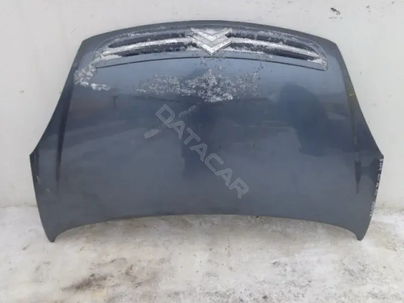 Капот 10102098