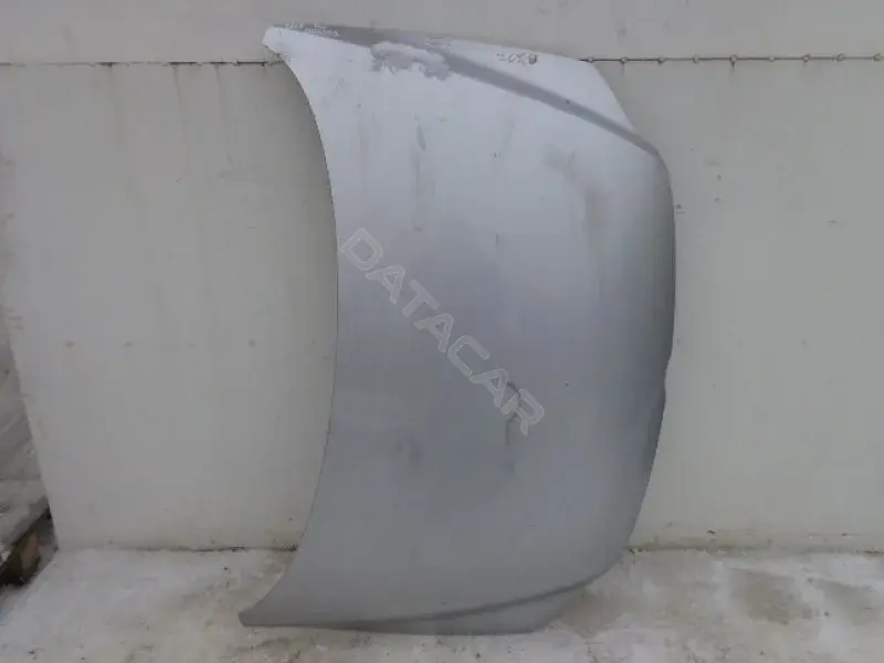 Капот 10102053