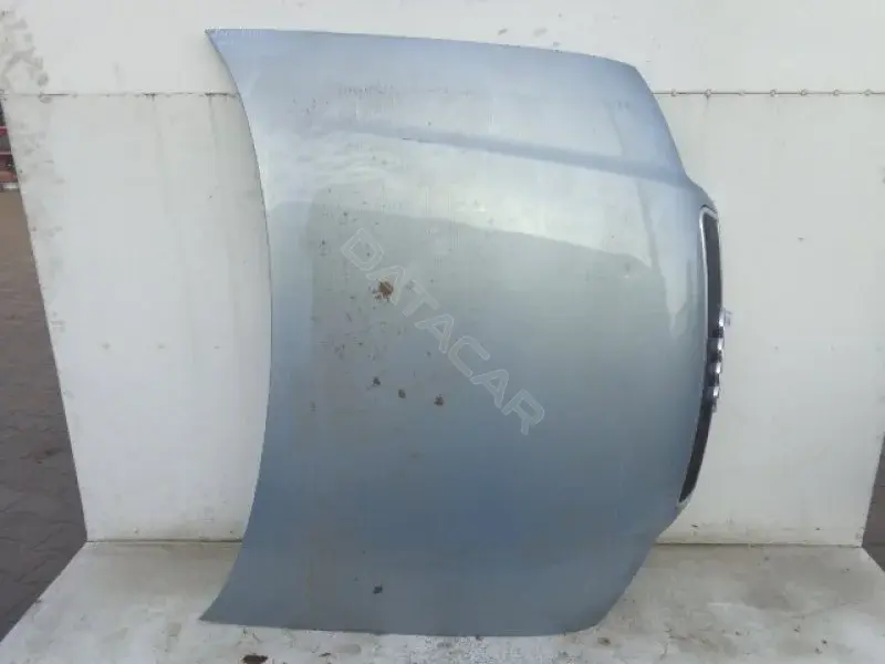 Капот 10099826