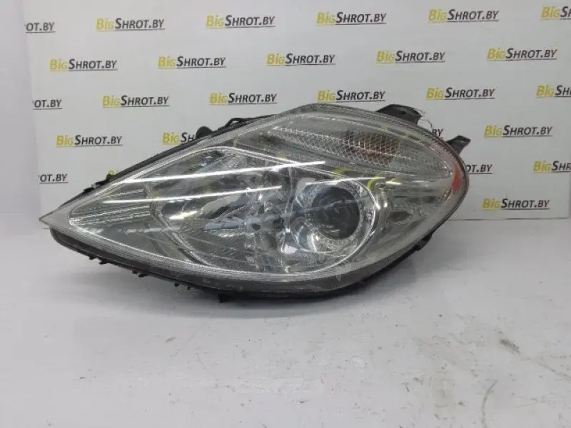 Фары 10098880