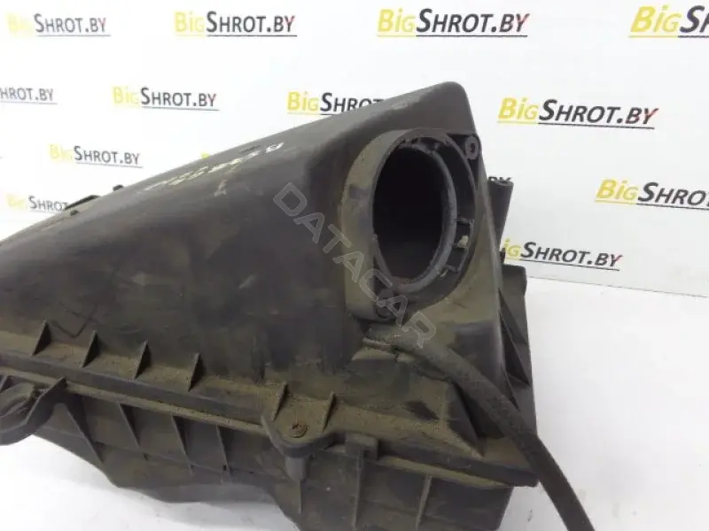 Корпус воздушного фильтра 10098846