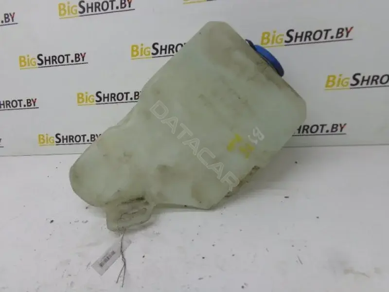 Бачок омывателя 10098812