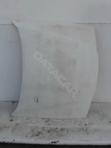 Капот 10094825
