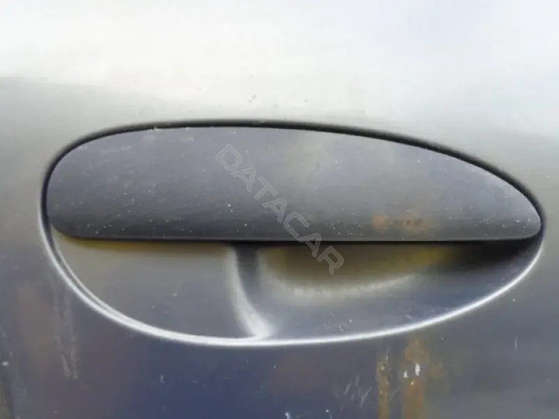 Ручка двери 10084961