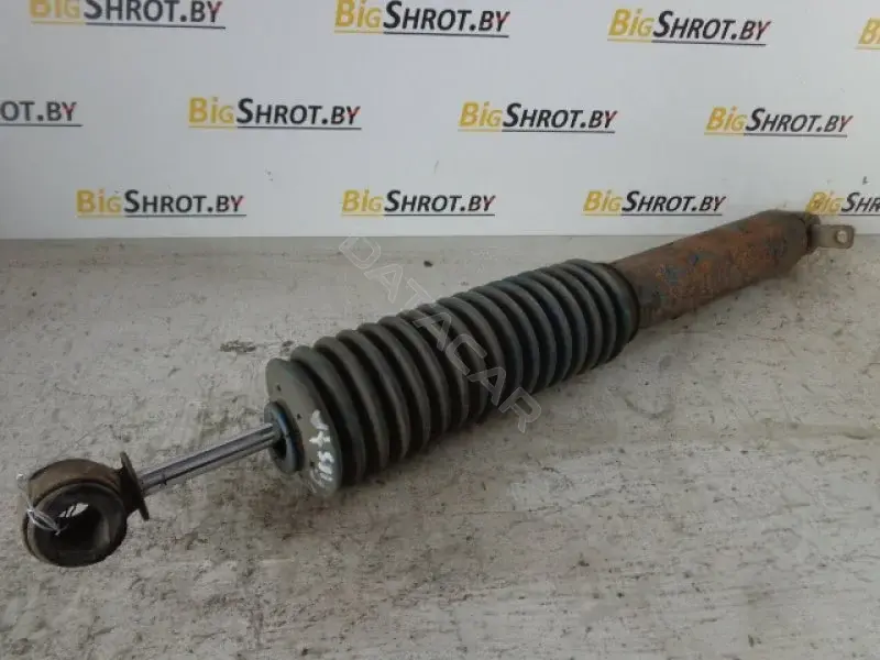 Амортизаторы 10081890