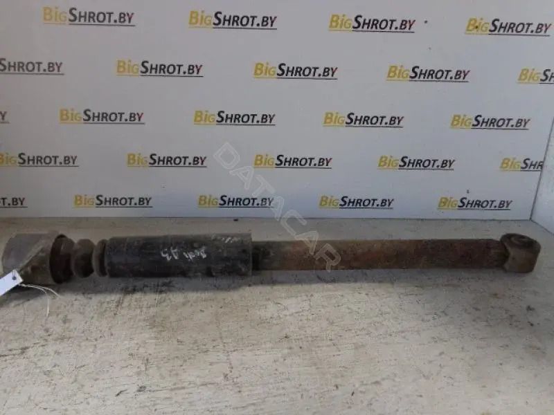 Амортизаторы 10081832