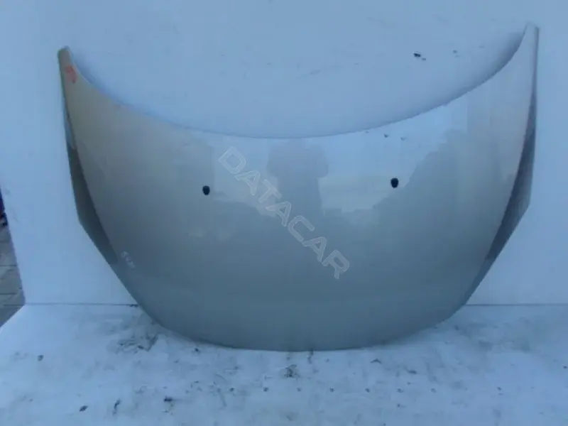 Капот 10078716