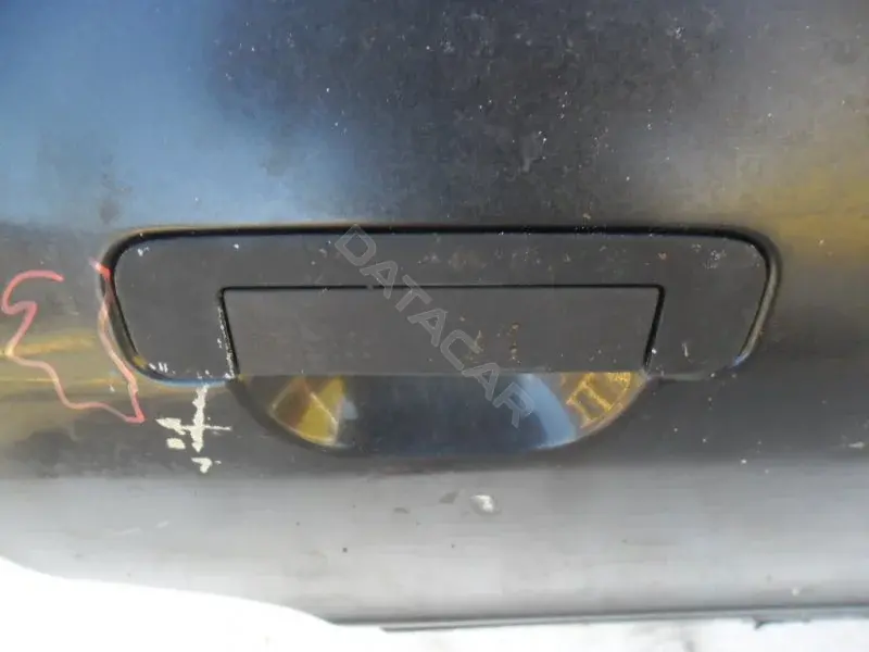 Ручка двери 10075561
