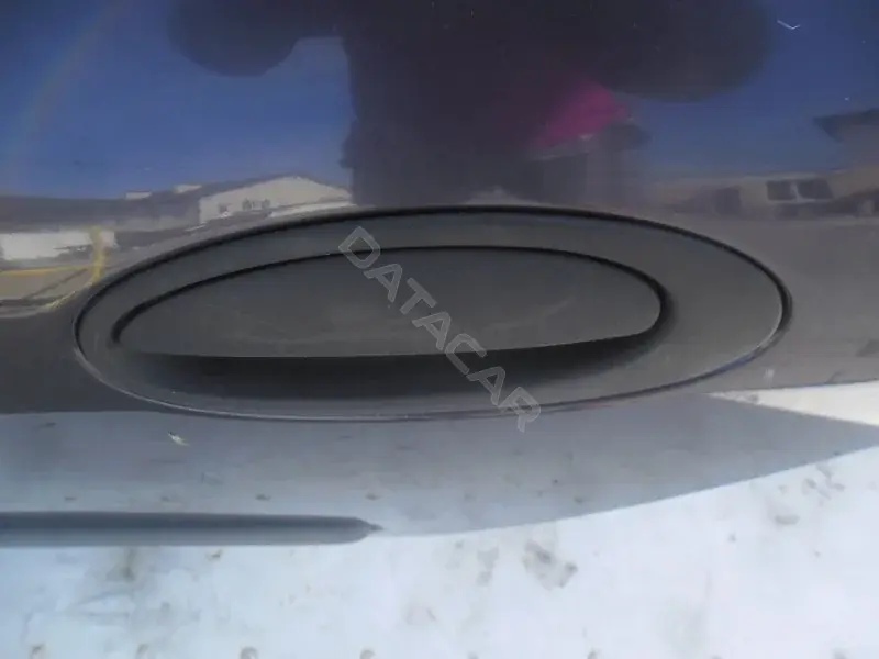 Ручка двери 10075499