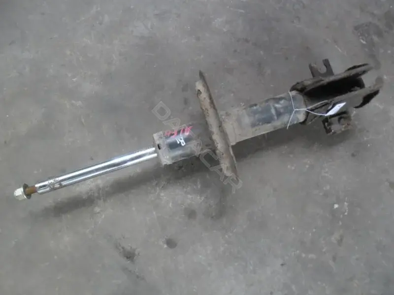 Амортизаторы 10074120