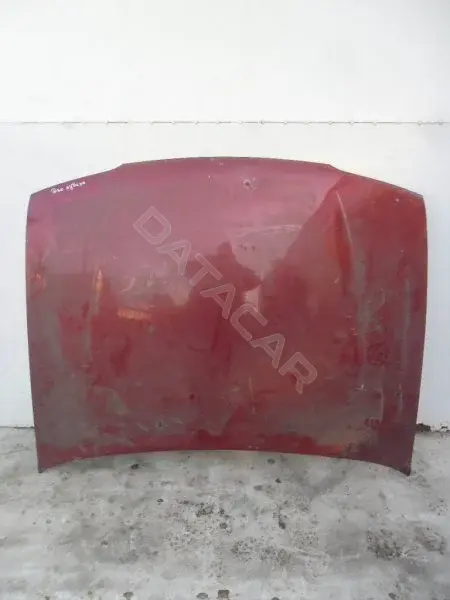 Капот 10059738