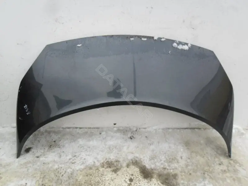 Капот 10050220